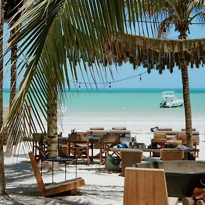 Casa Tortugas Petit & Hotell